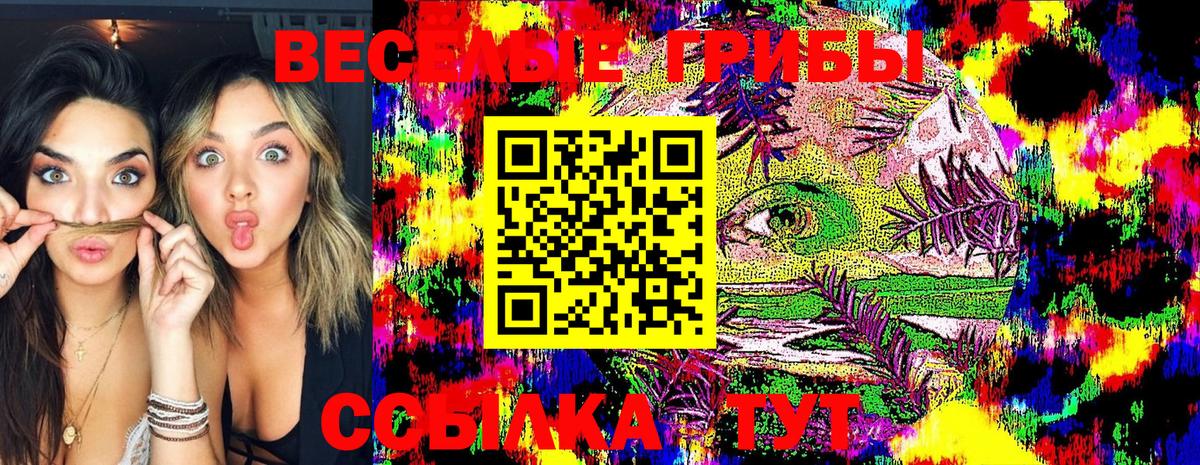 купить  цена  Вход с VPN  Галлюциногенные грибы Psilocybe  Сердобск  Псилоцибиновые грибы прущие грибы 